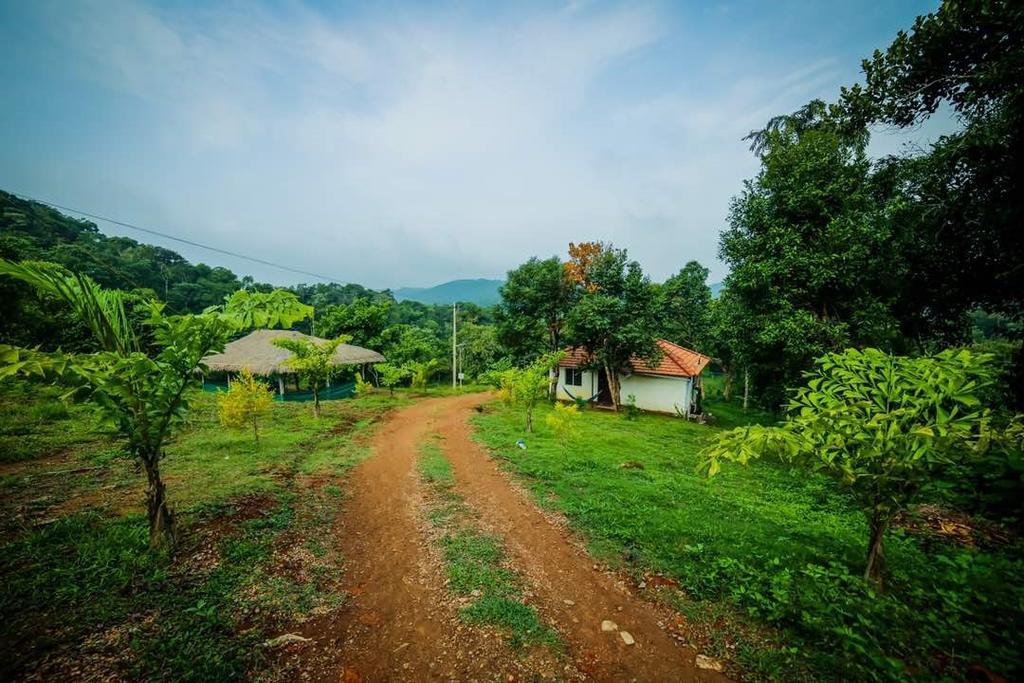 Aadhavana Homestay - Sakleshpur Maranhalli Ngoại thất bức ảnh